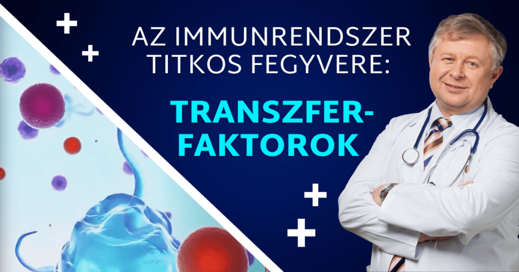 Transzferfaktorok