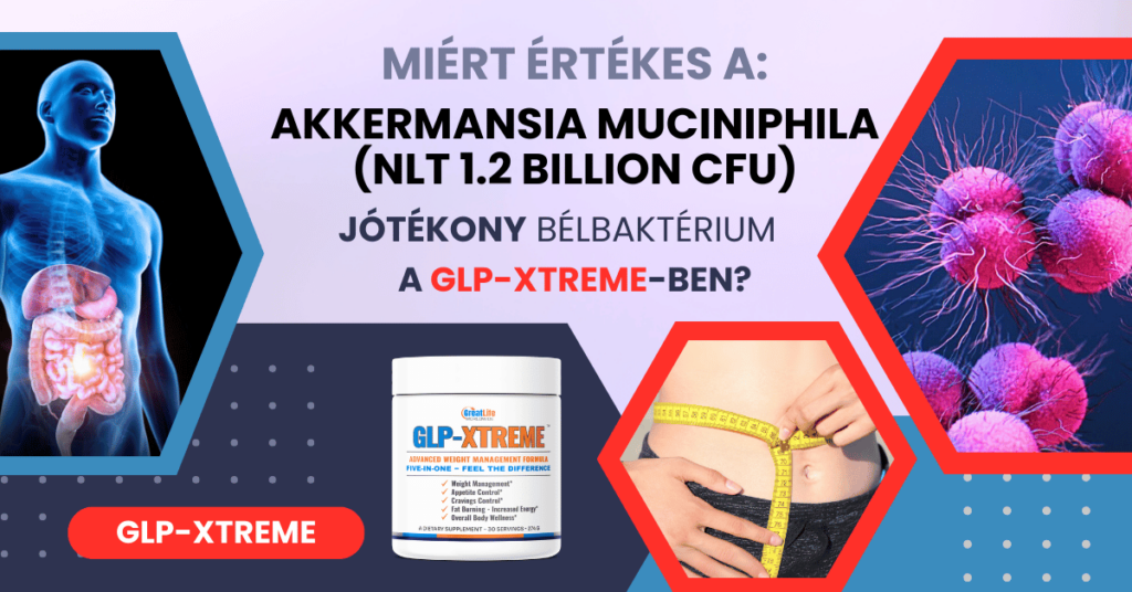 Hogyan támogatja a bélflórát és a testsúlyszabályozást az Akkermansia muciniphila a GLP-XTREME-ben?