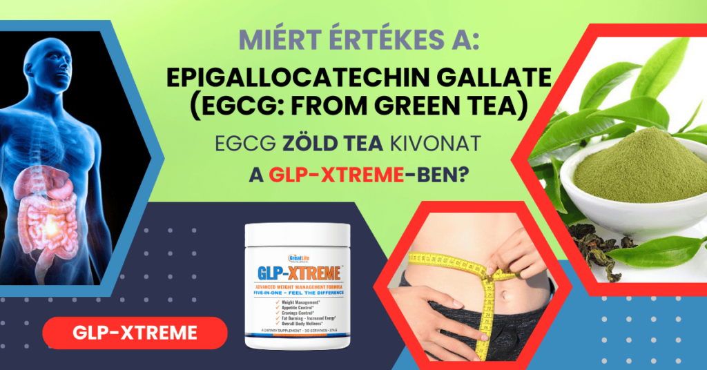 Hogyan segít az Epigallocatechin Gallate (EGCG) a fogyásban és az anyagcsere támogatásában a GLP-XTREME-ben?